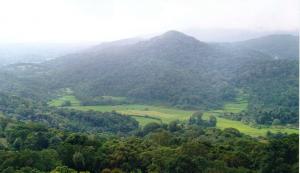 Coorg International Package